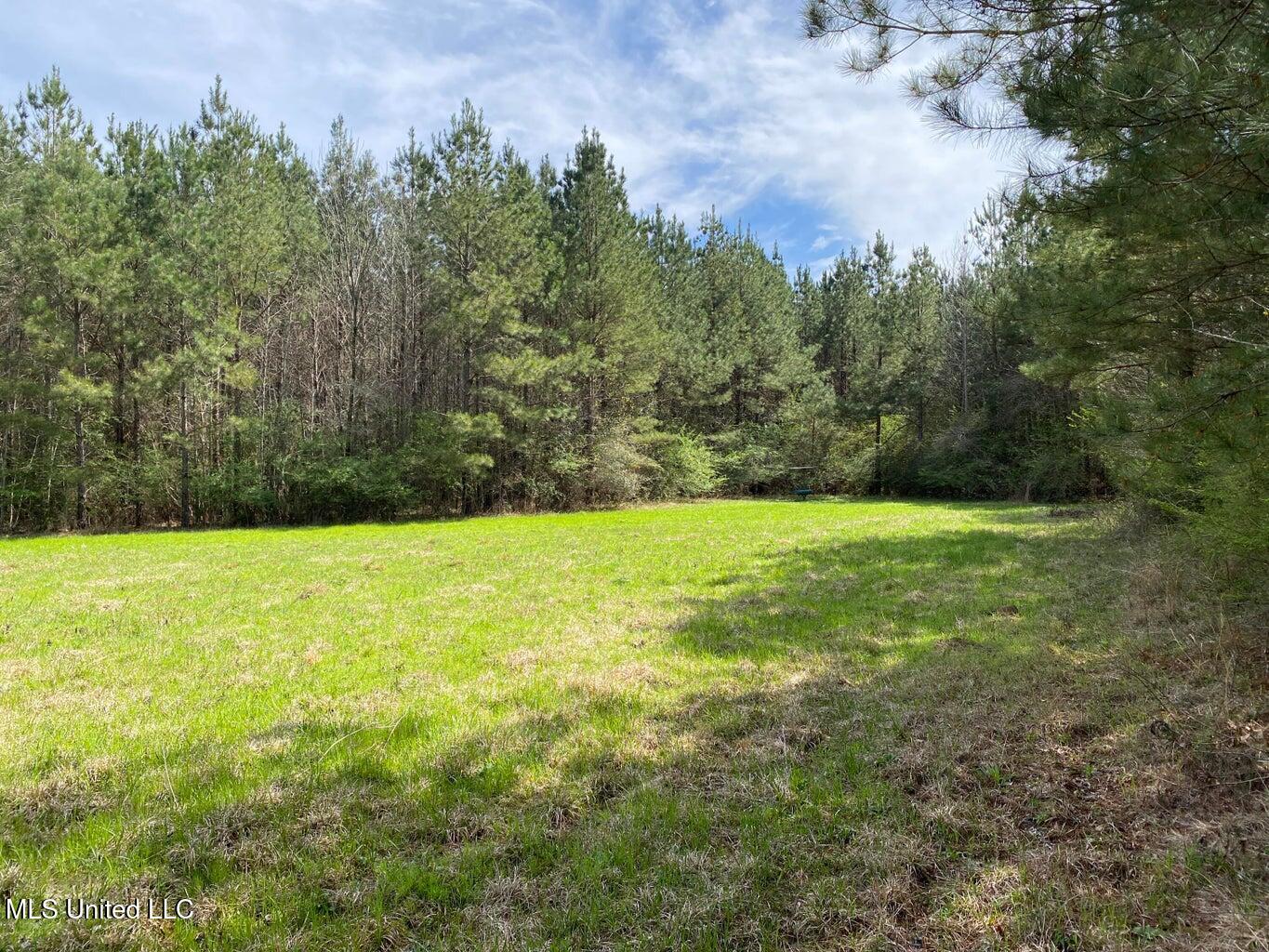 94 Acres Everett Road, Hickory, Mississippi image 1