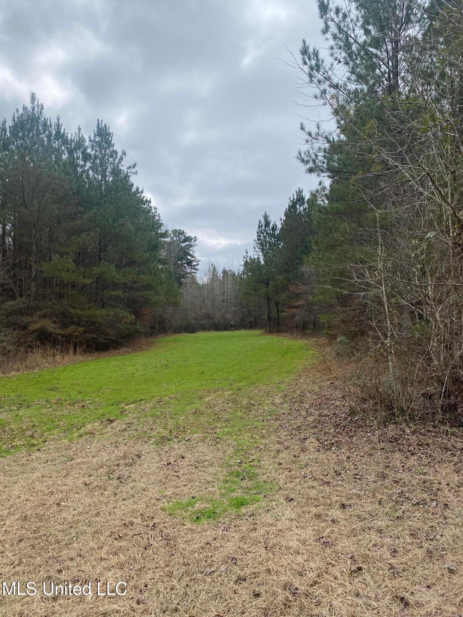 94 Acres Everett Road, Hickory, Mississippi image 36