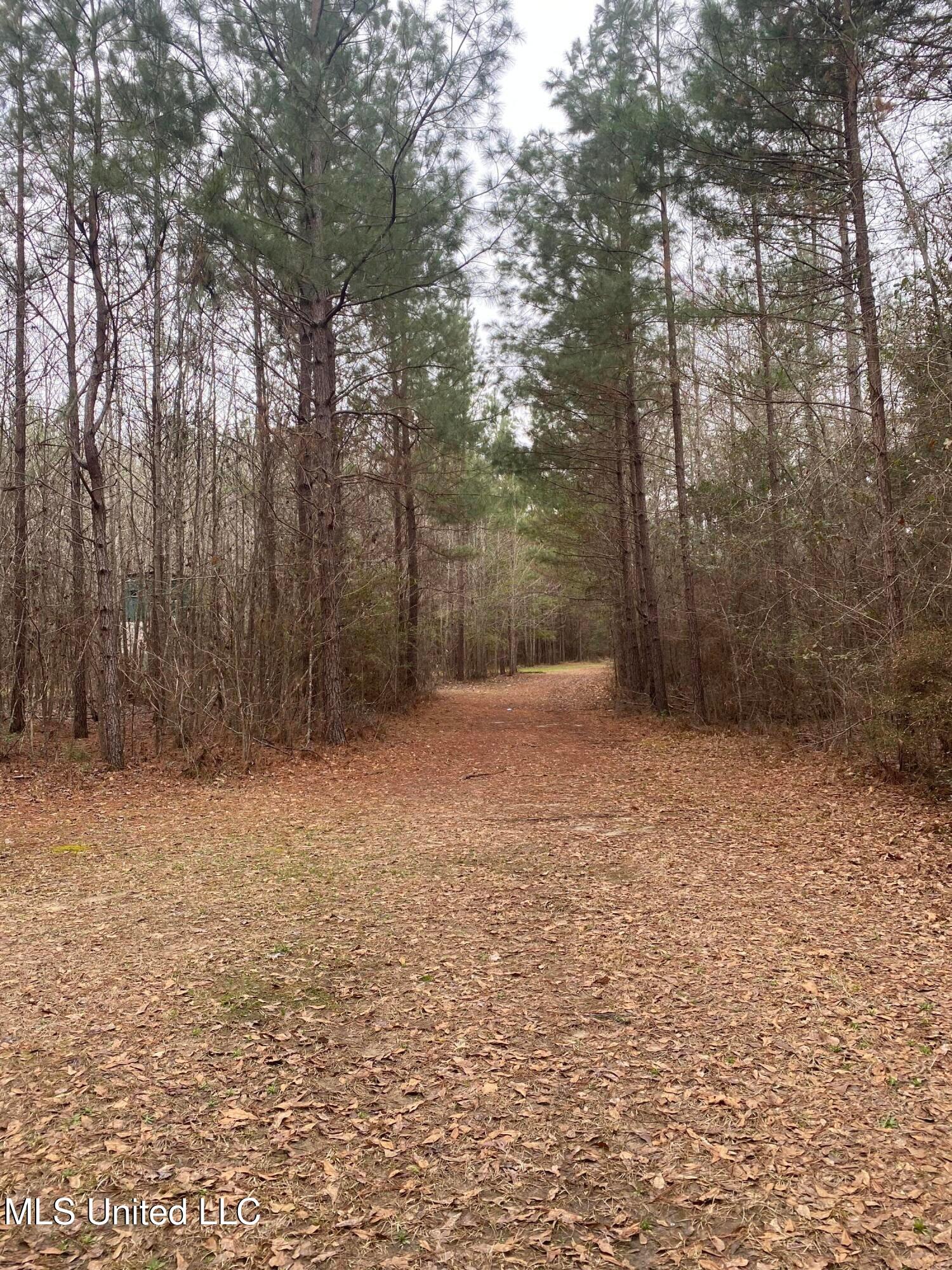 94 Acres Everett Road, Hickory, Mississippi image 32