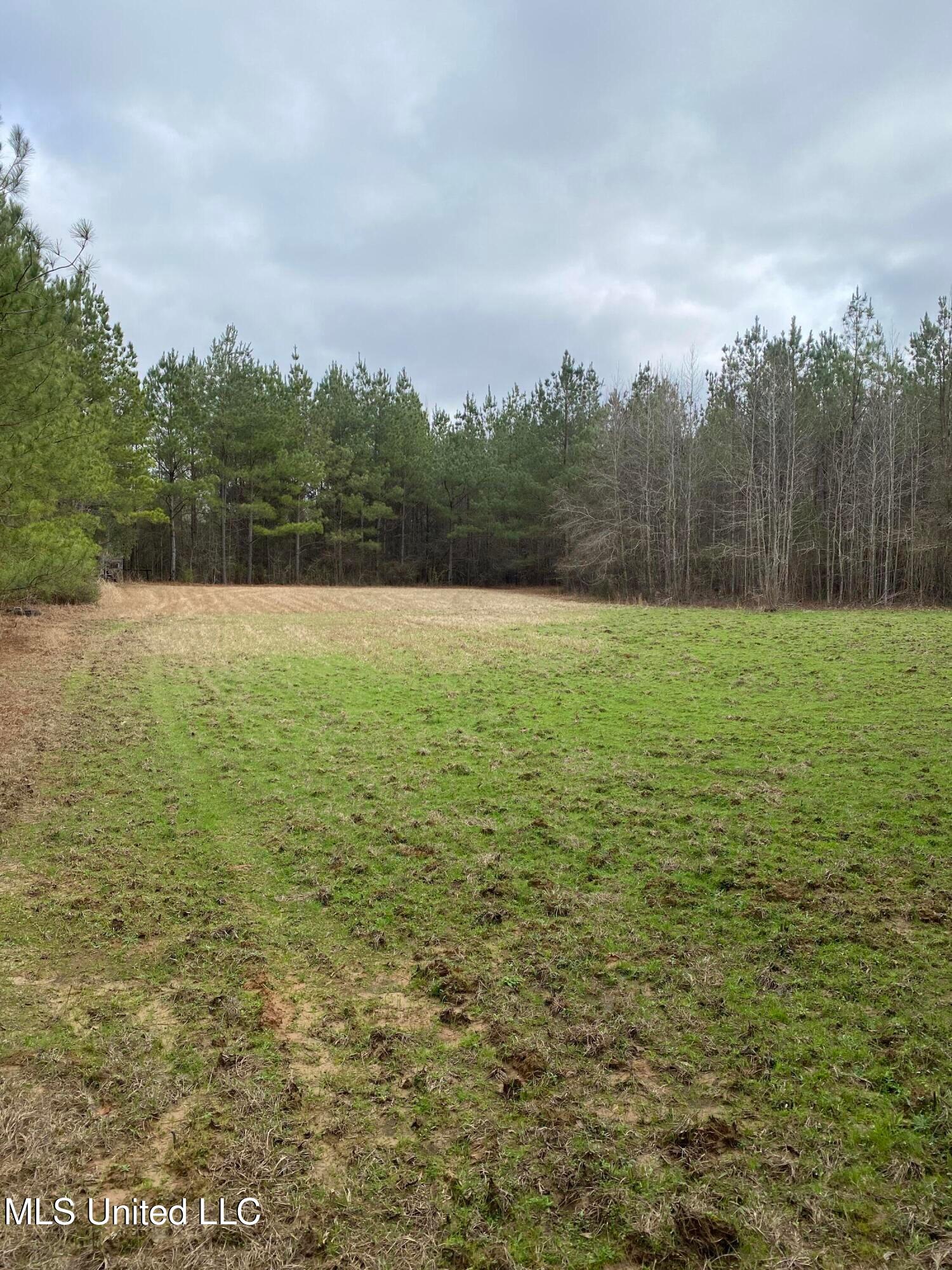 94 Acres Everett Road, Hickory, Mississippi image 20
