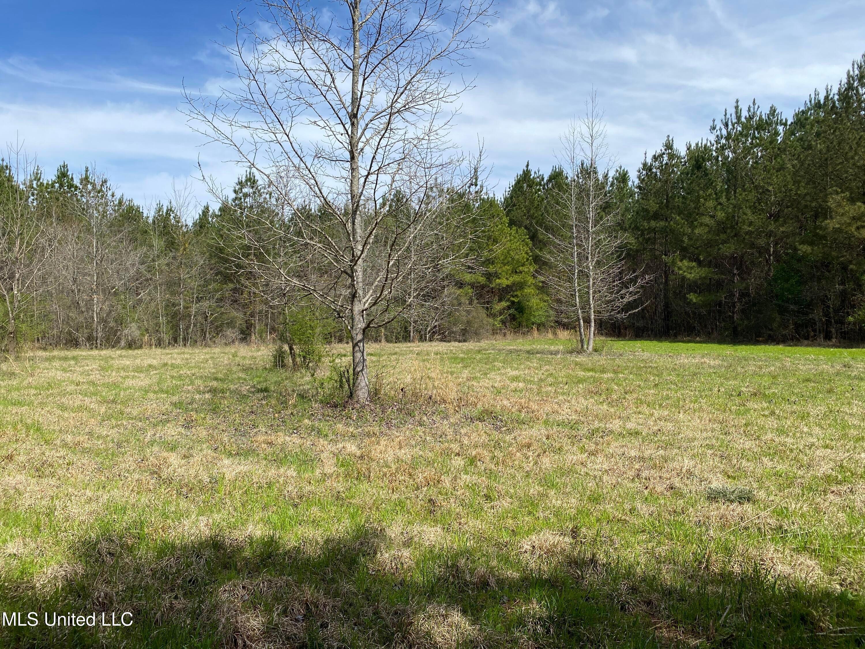 94 Acres Everett Road, Hickory, Mississippi image 5