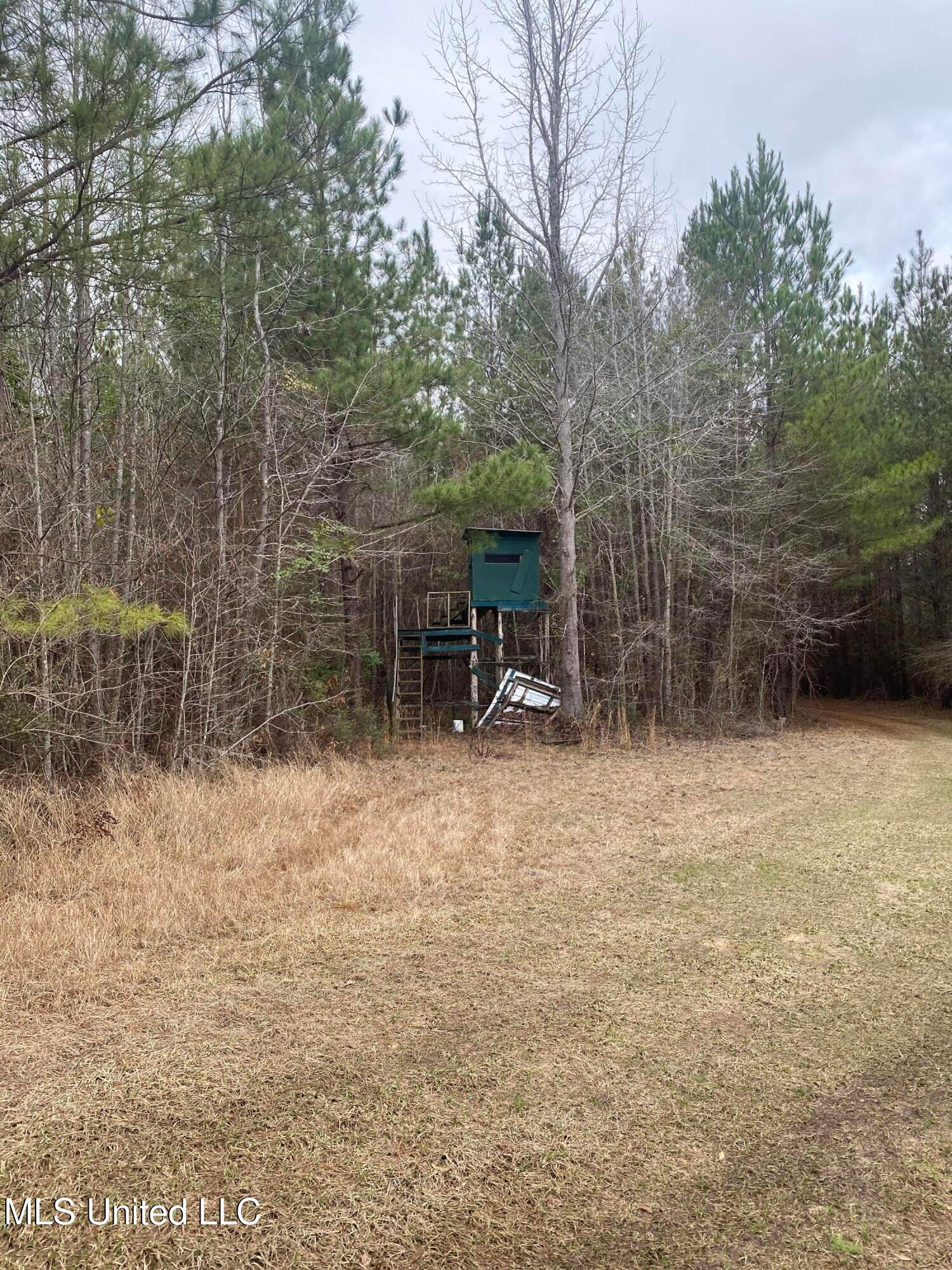 94 Acres Everett Road, Hickory, Mississippi image 35
