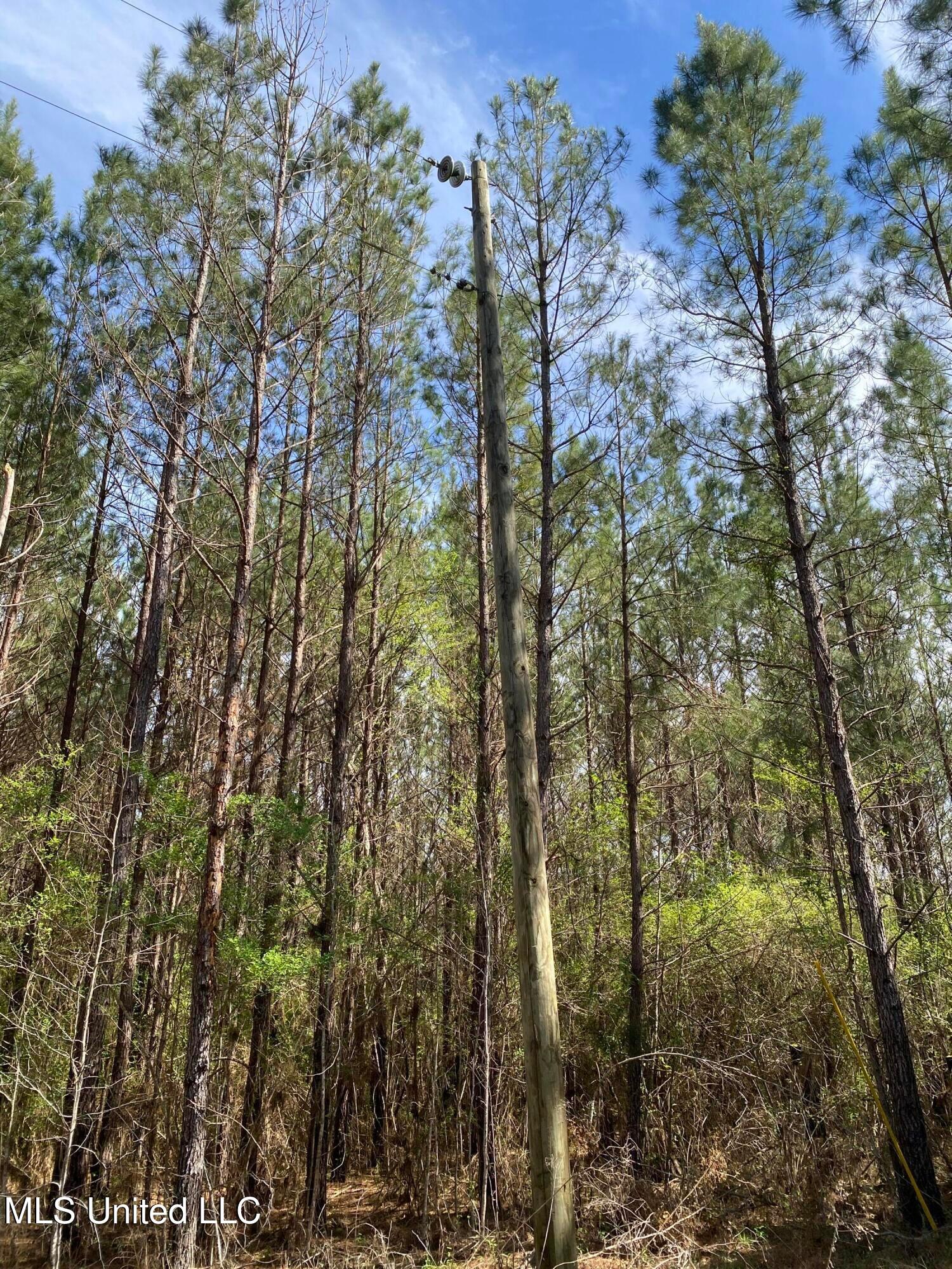 94 Acres Everett Road, Hickory, Mississippi image 2