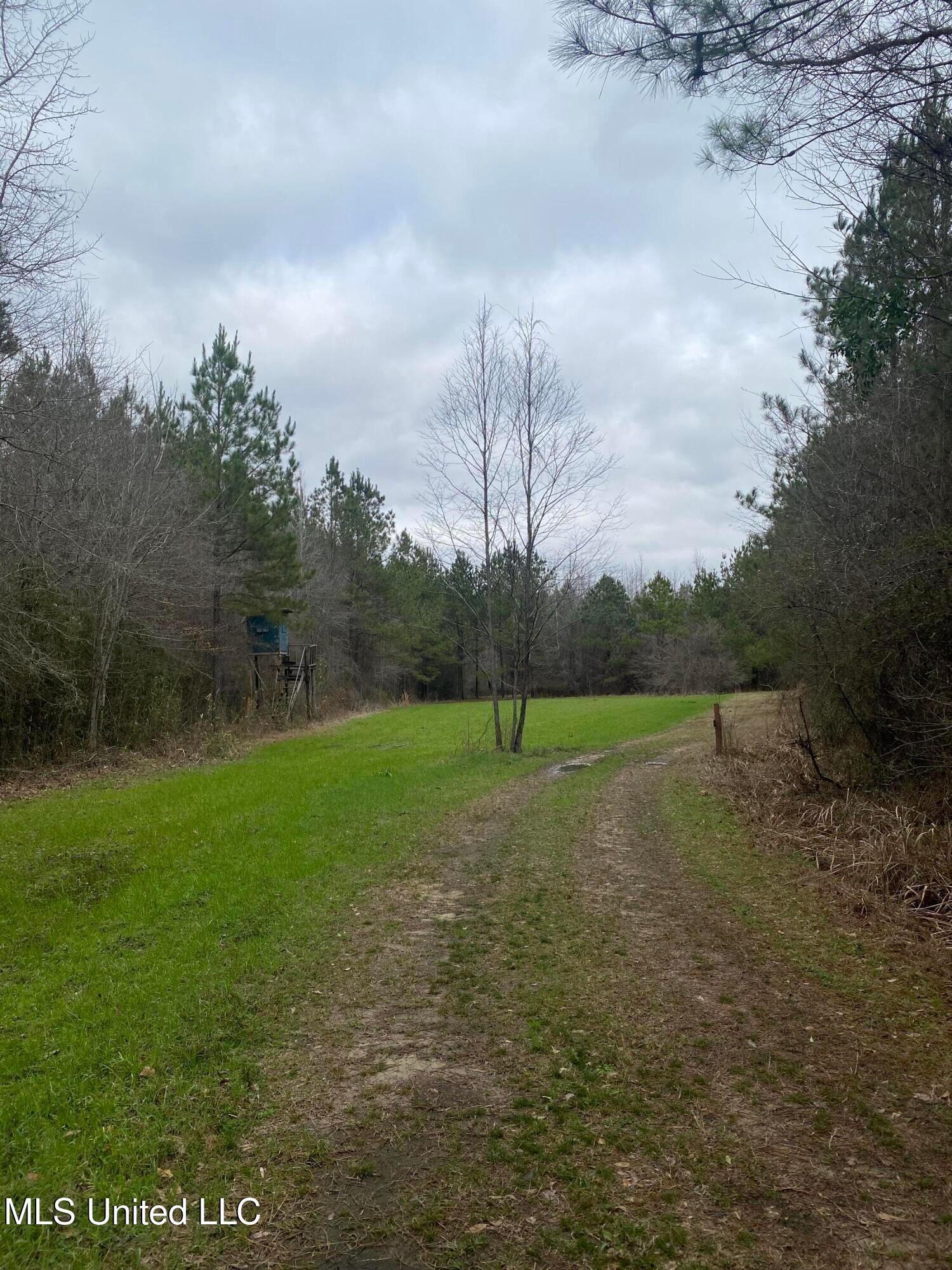 94 Acres Everett Road, Hickory, Mississippi image 40