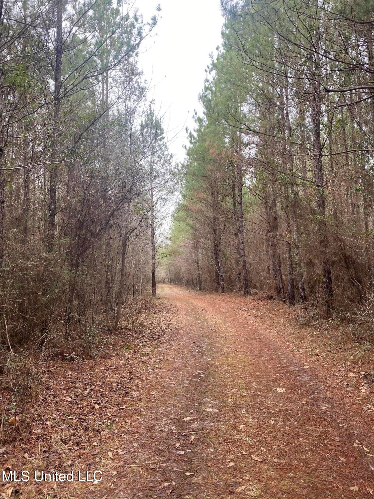 94 Acres Everett Road, Hickory, Mississippi image 34