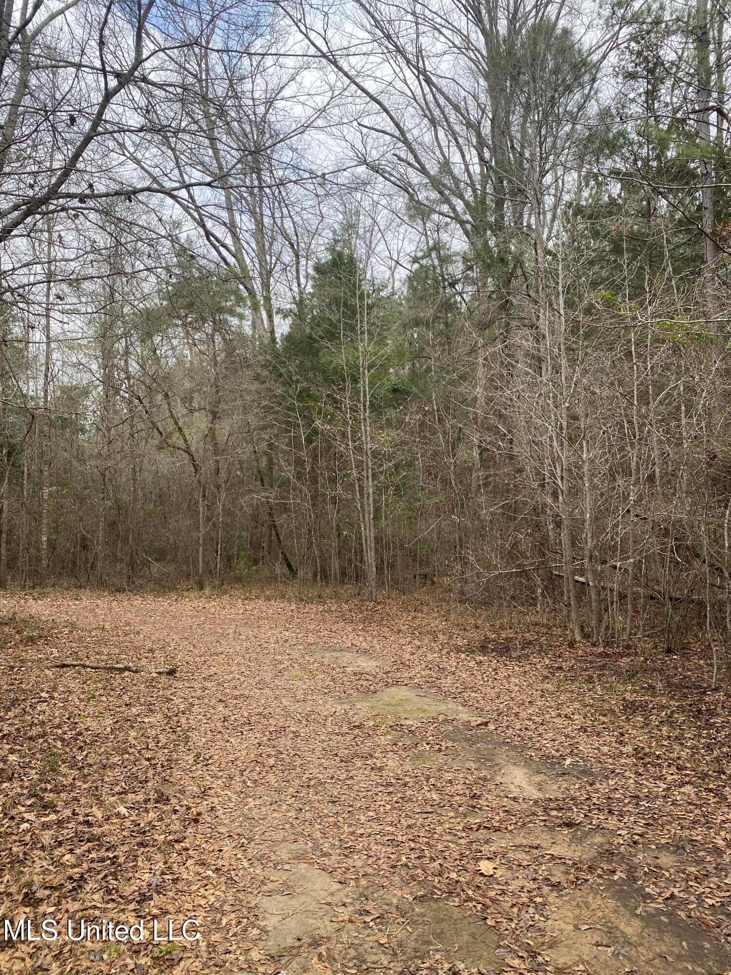 94 Acres Everett Road, Hickory, Mississippi image 24