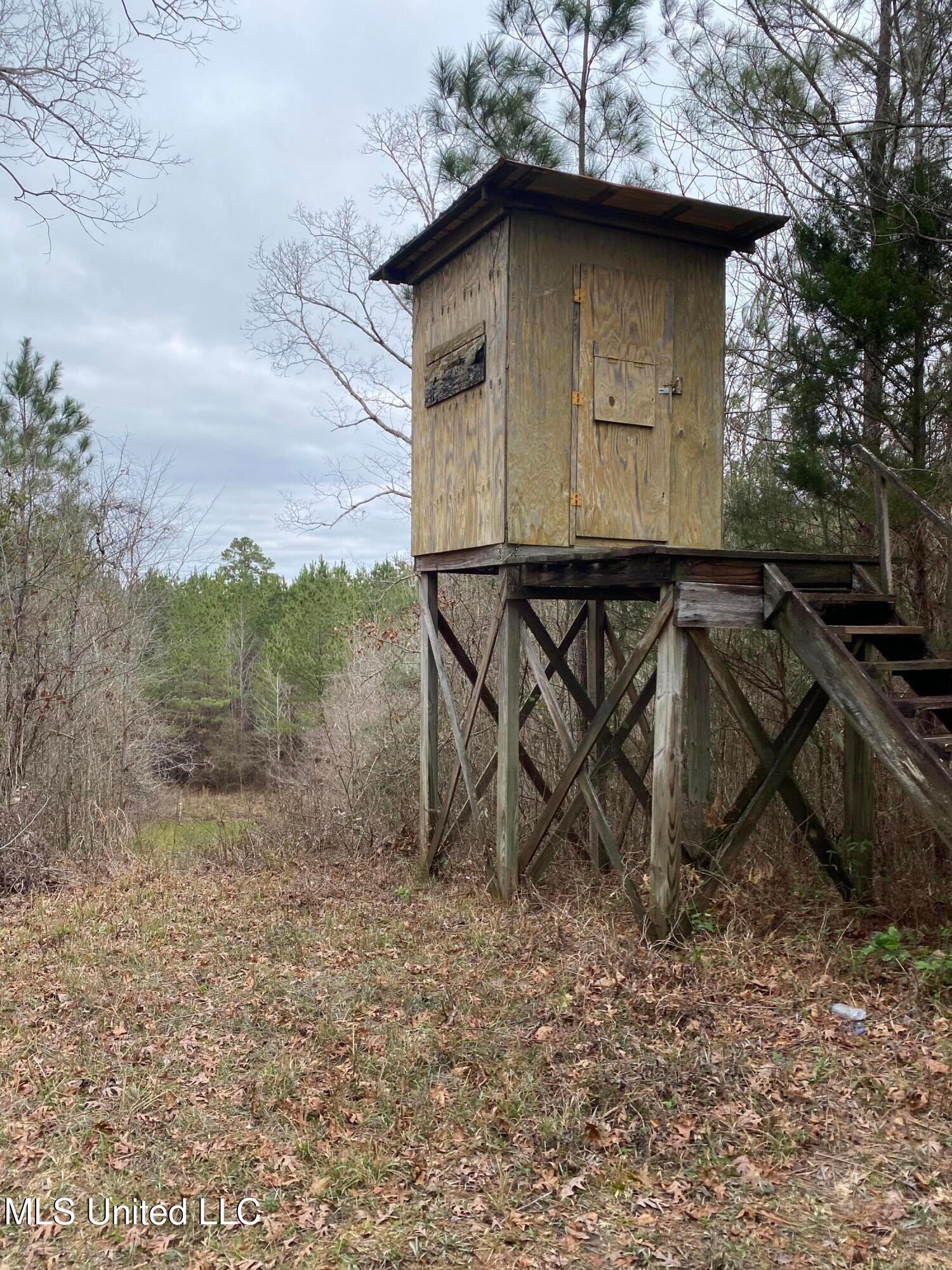 94 Acres Everett Road, Hickory, Mississippi image 13