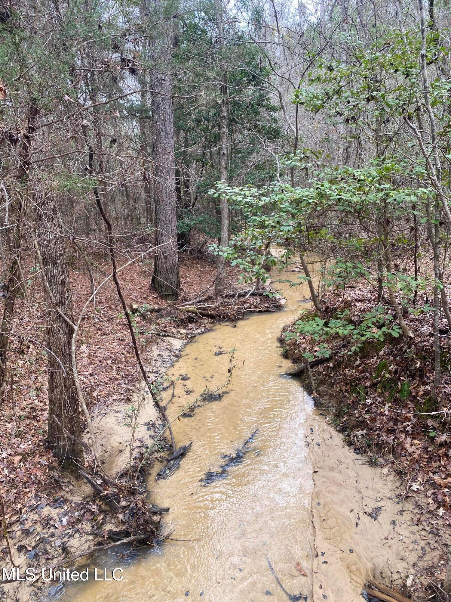 94 Acres Everett Road, Hickory, Mississippi image 23