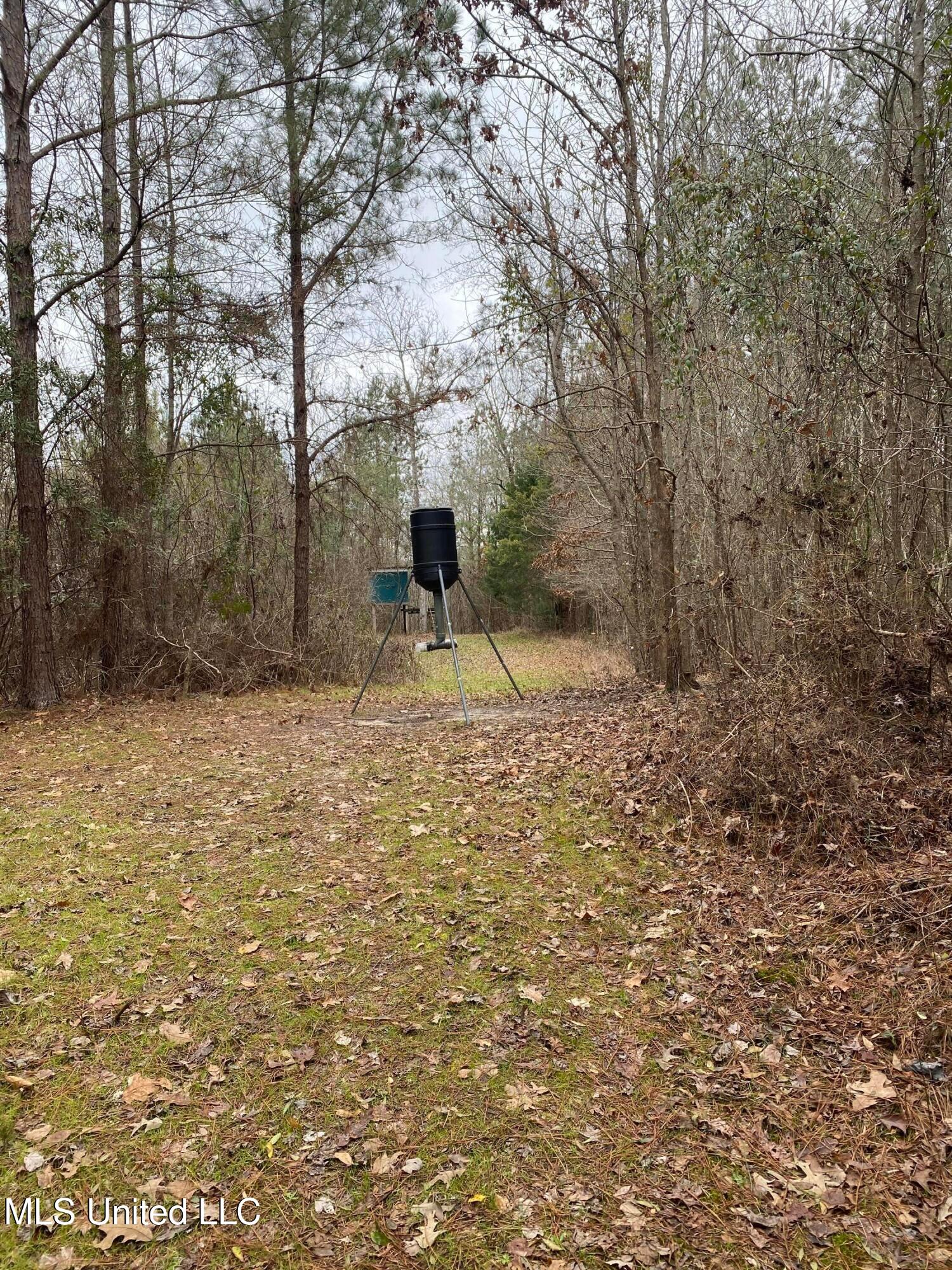 94 Acres Everett Road, Hickory, Mississippi image 12