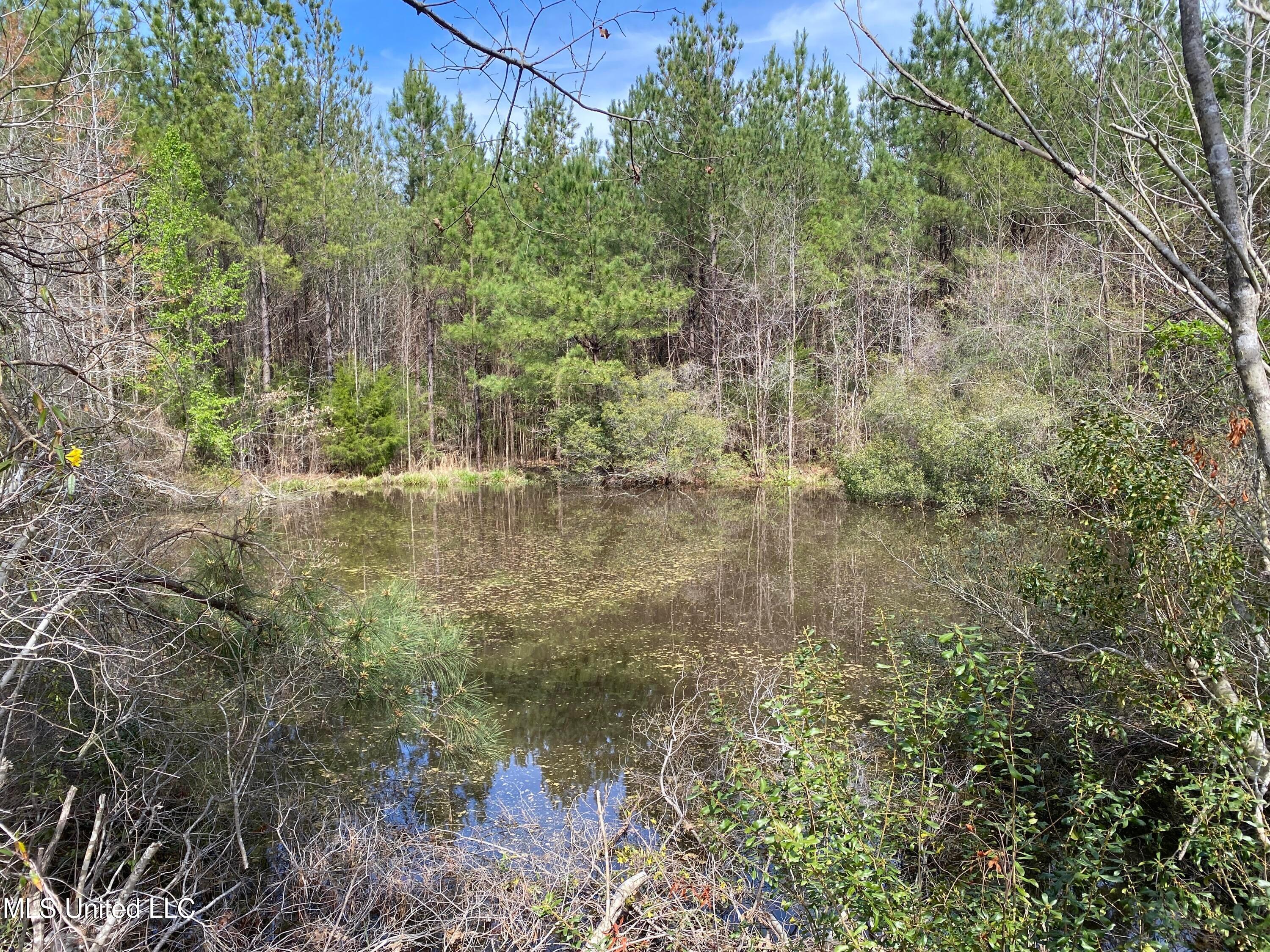 94 Acres Everett Road, Hickory, Mississippi image 7