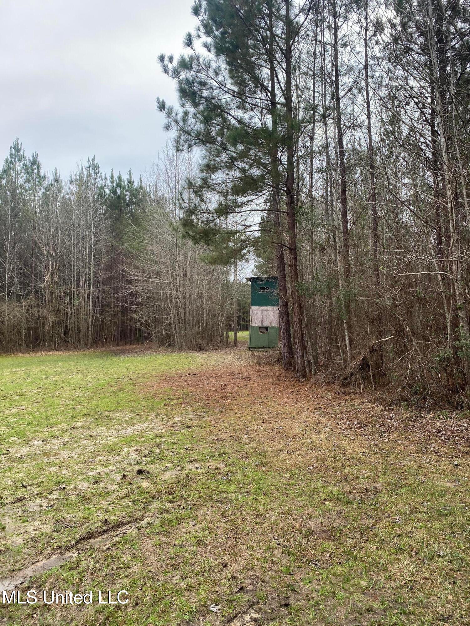 94 Acres Everett Road, Hickory, Mississippi image 27
