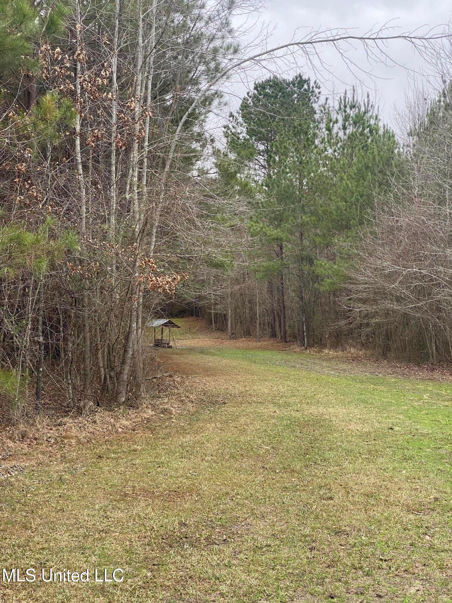 94 Acres Everett Road, Hickory, Mississippi image 31