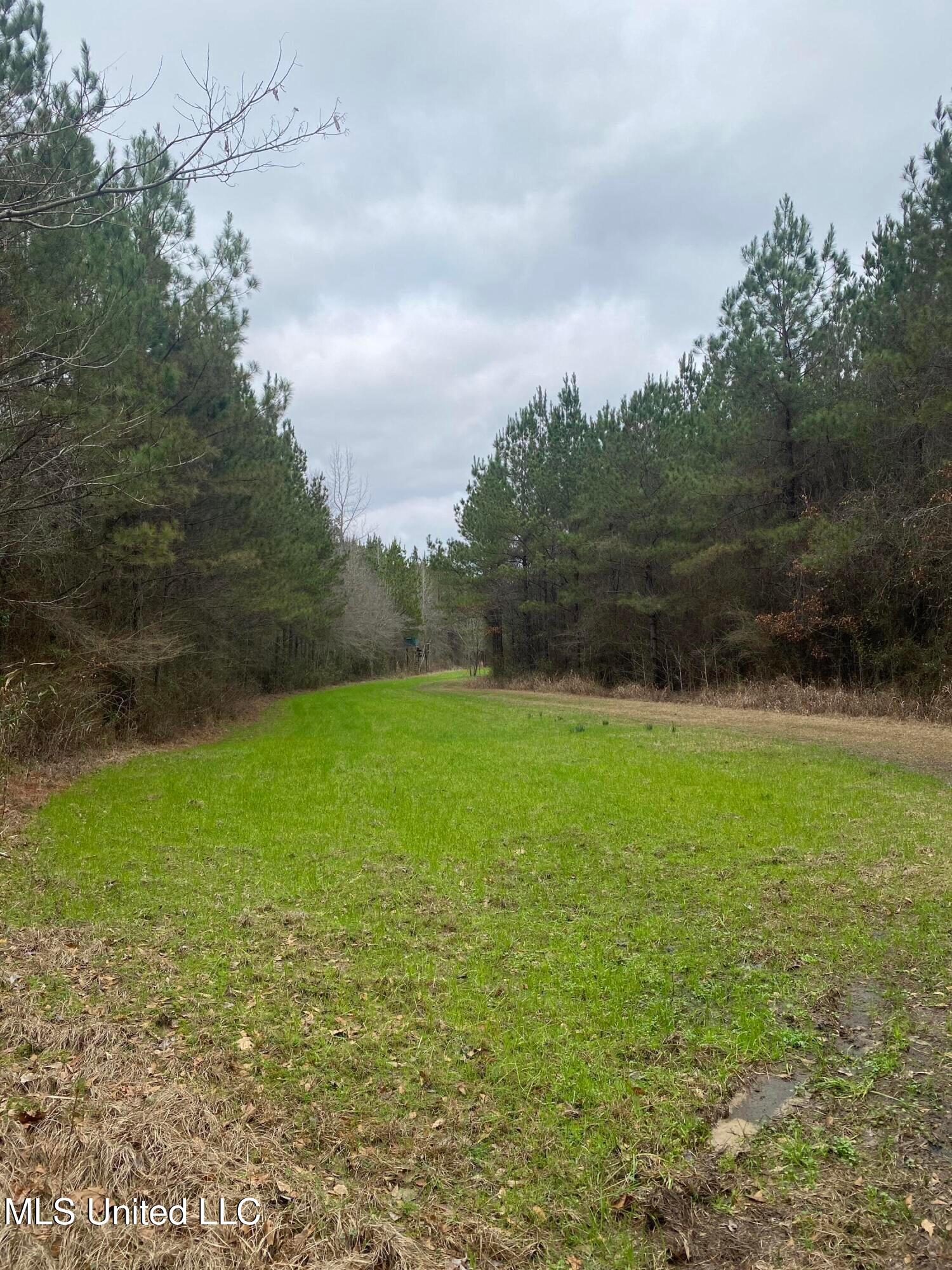 94 Acres Everett Road, Hickory, Mississippi image 41