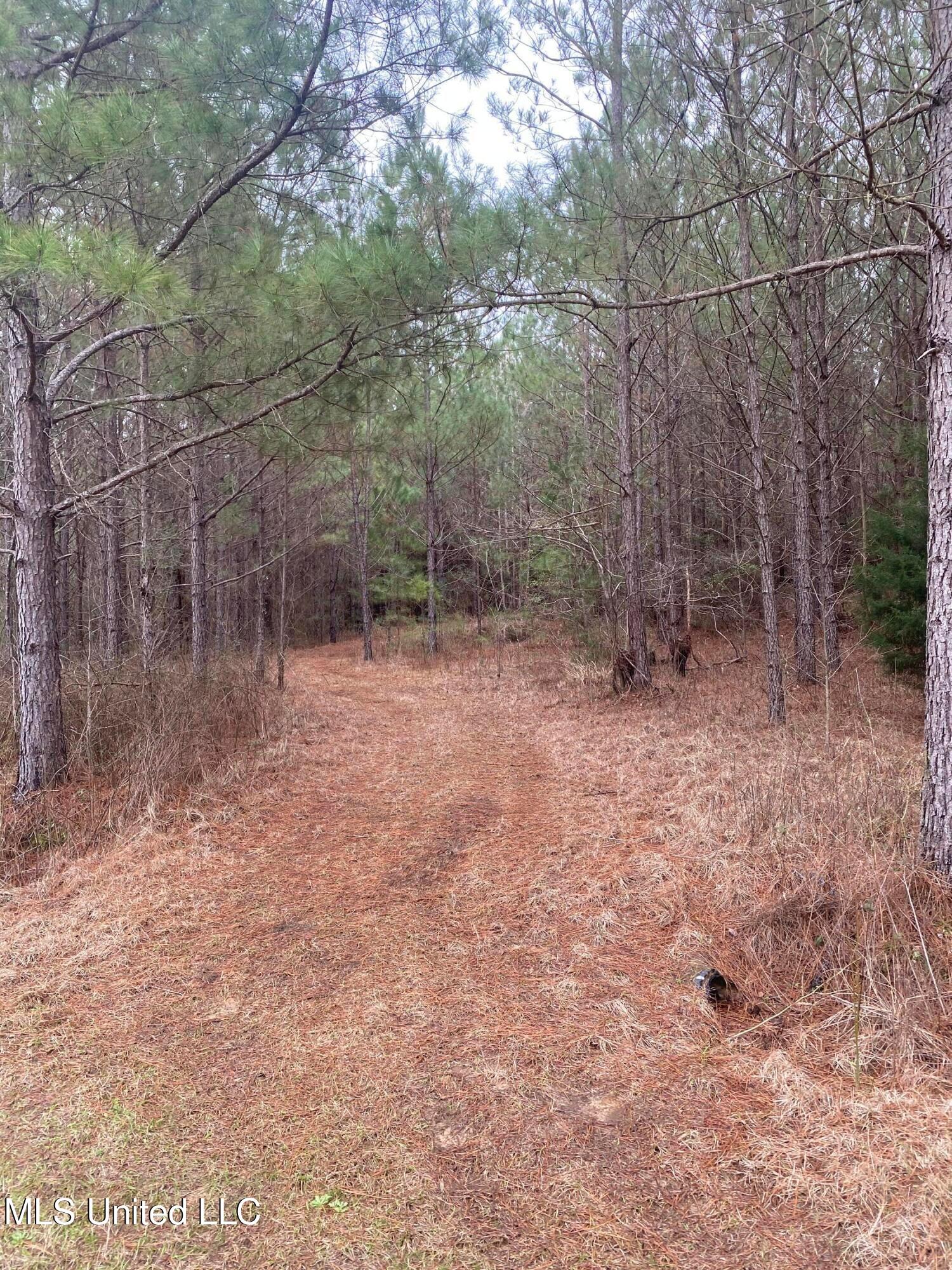 94 Acres Everett Road, Hickory, Mississippi image 39