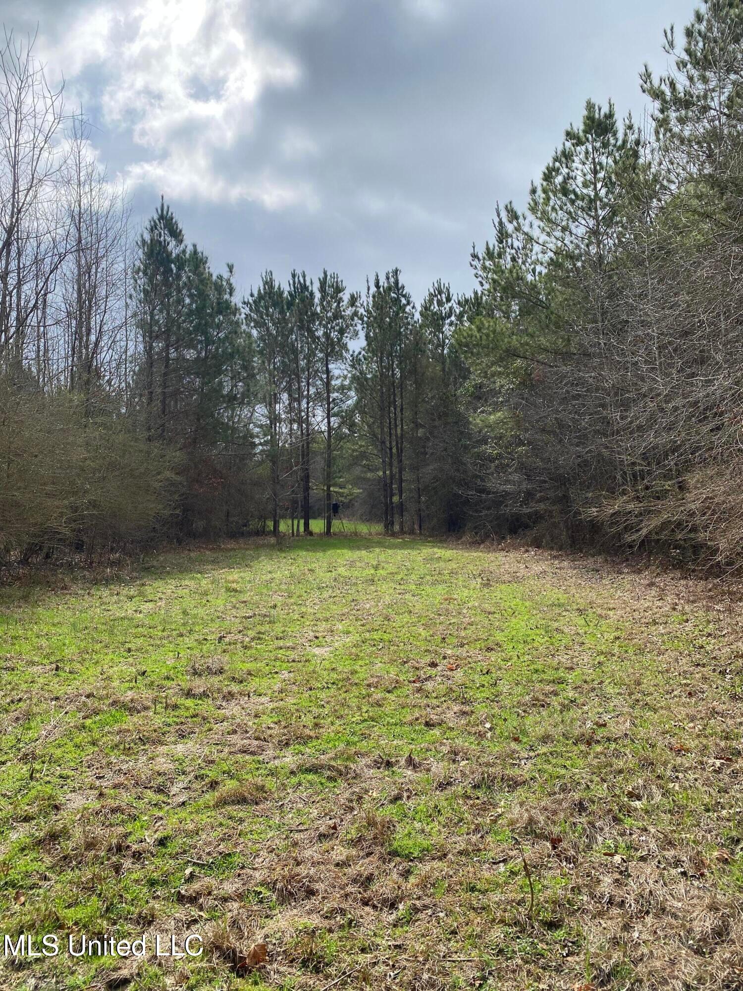 94 Acres Everett Road, Hickory, Mississippi image 17