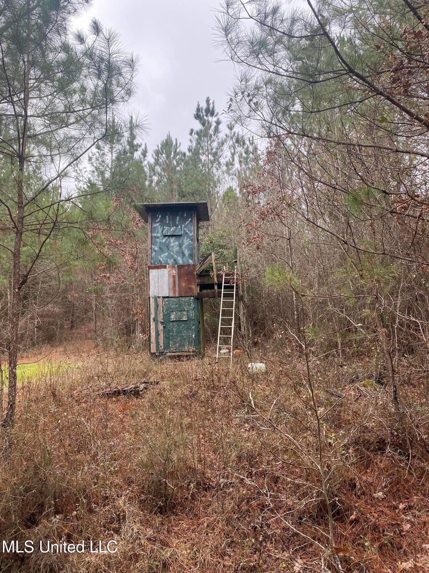 94 Acres Everett Road, Hickory, Mississippi image 38