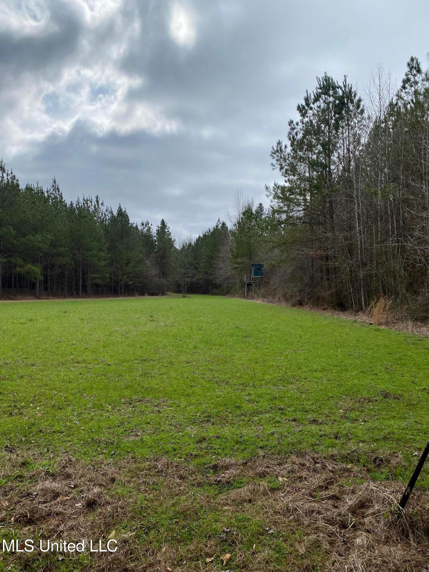 94 Acres Everett Road, Hickory, Mississippi image 16