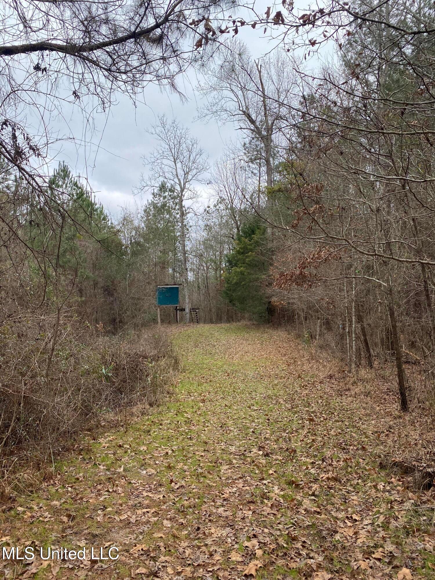 94 Acres Everett Road, Hickory, Mississippi image 11