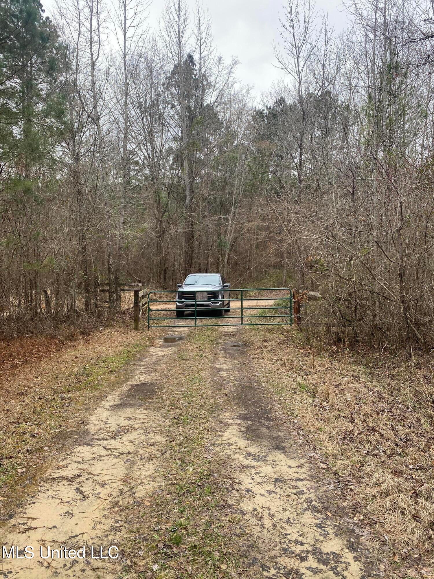 94 Acres Everett Road, Hickory, Mississippi image 43