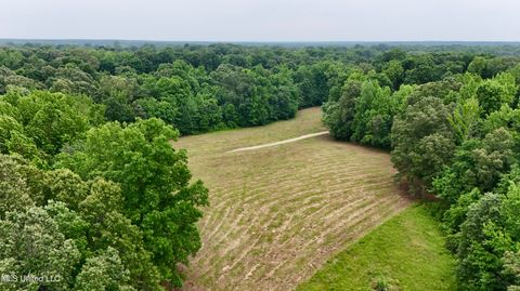 Vacant Land For Sale - 154 Jesse Drive<br/> Marshall County, Byhalia, MS 38611
