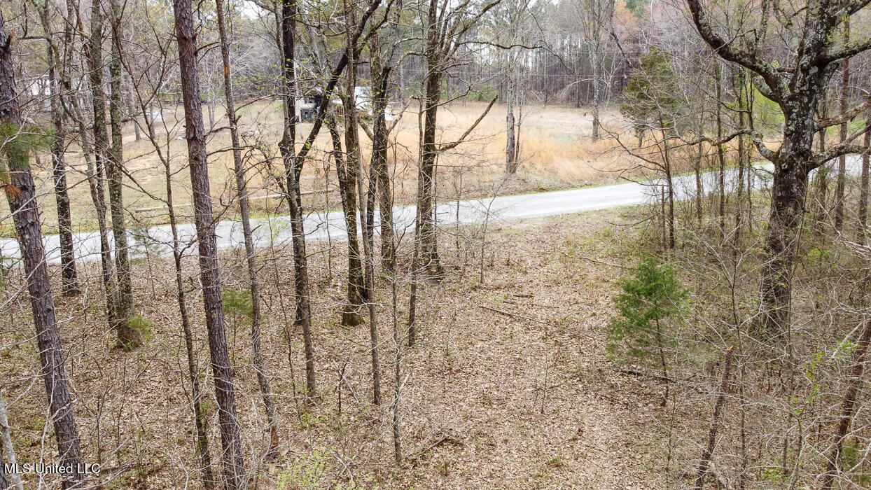 Wilkins Chapel Road, Holly Springs, Mississippi image 10