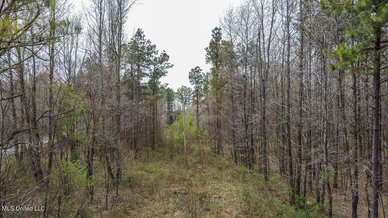 Wilkins Chapel Road, Holly Springs, Mississippi image 9