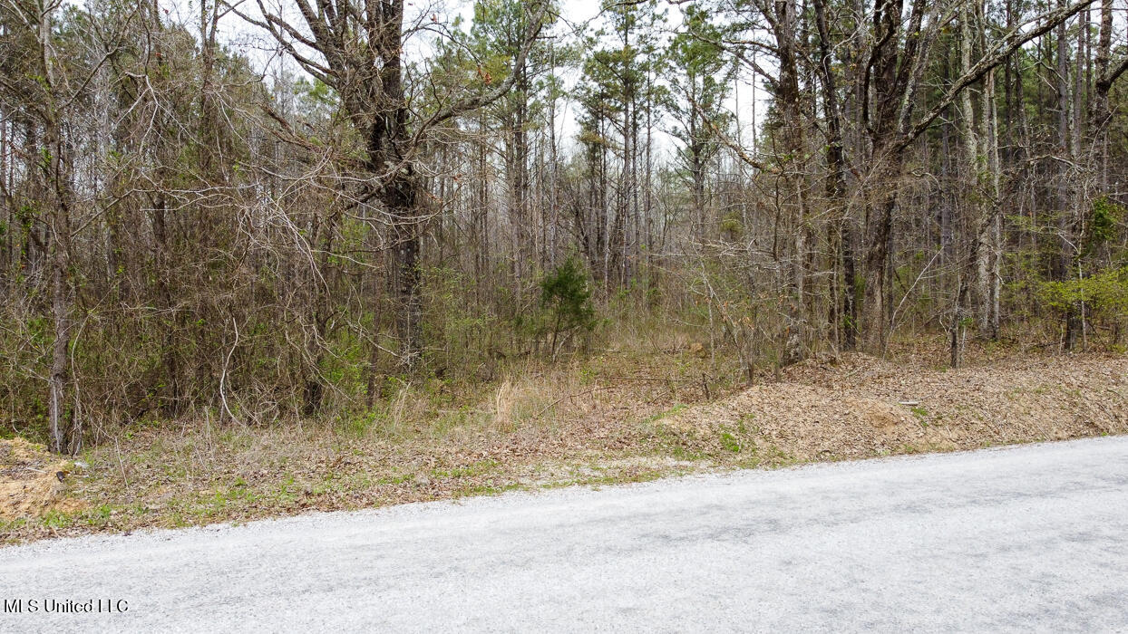 Wilkins Chapel Road, Holly Springs, Mississippi image 3