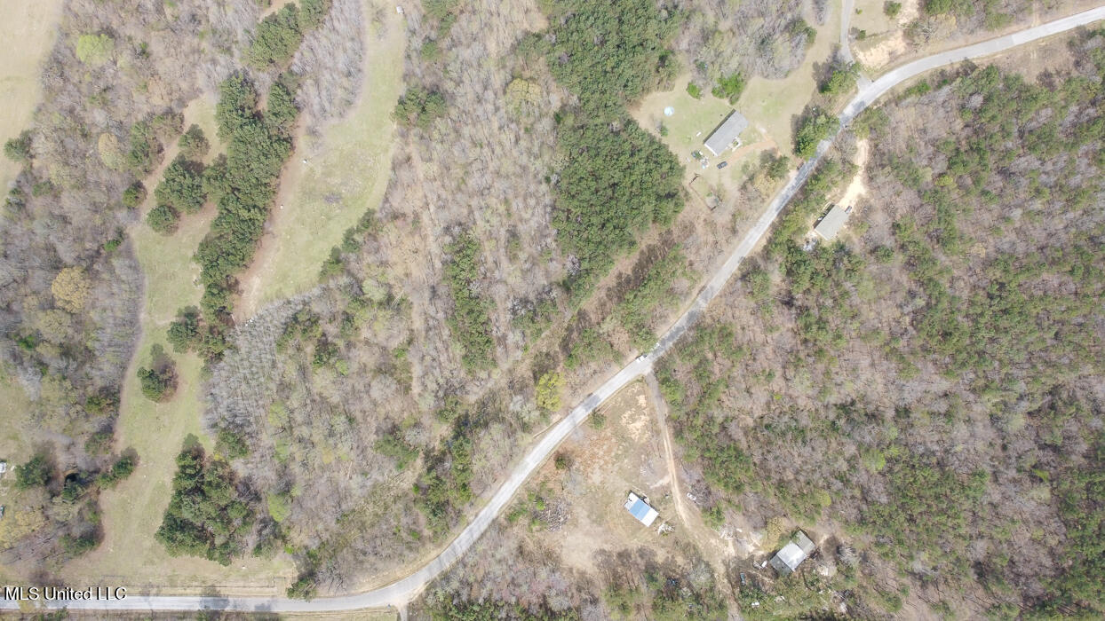 Wilkins Chapel Road, Holly Springs, Mississippi image 19