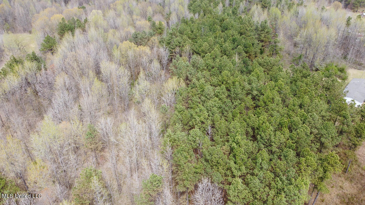 Wilkins Chapel Road, Holly Springs, Mississippi image 13