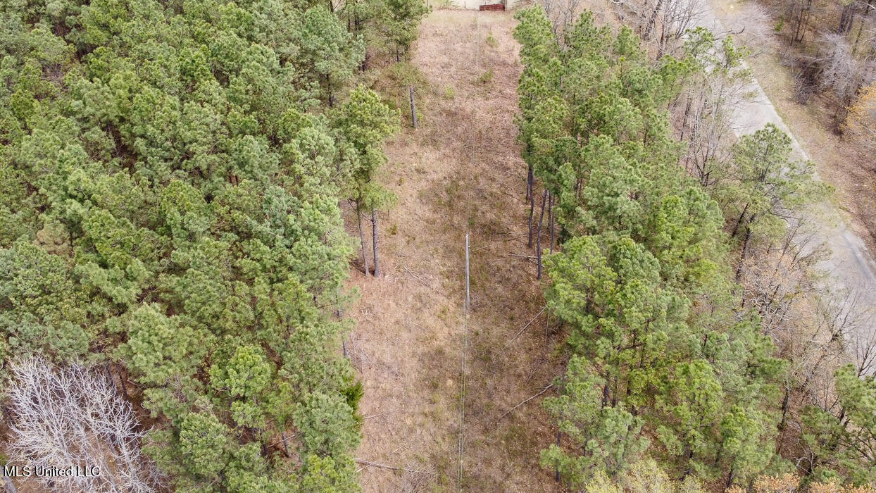 Wilkins Chapel Road, Holly Springs, Mississippi image 14