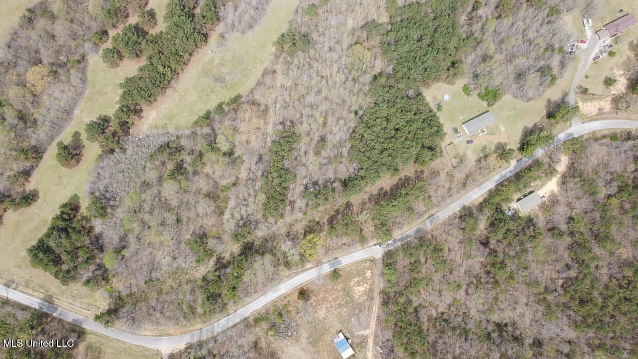 Wilkins Chapel Road, Holly Springs, Mississippi image 17