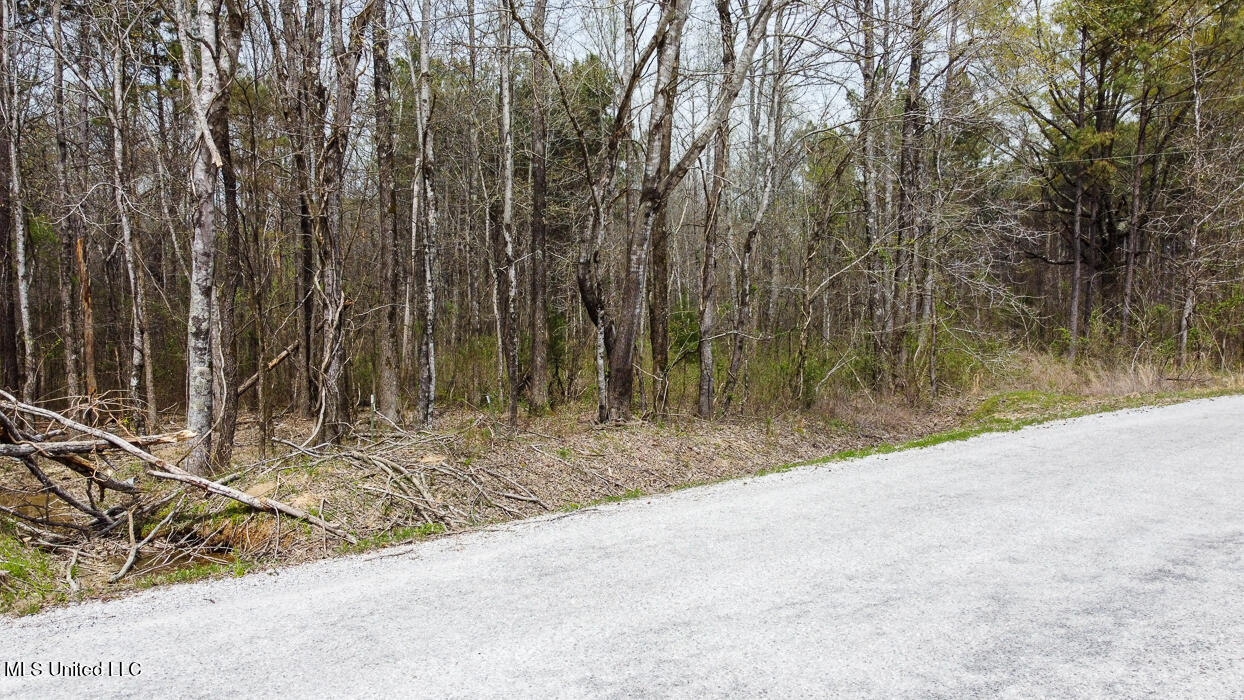 Wilkins Chapel Road, Holly Springs, Mississippi image 5