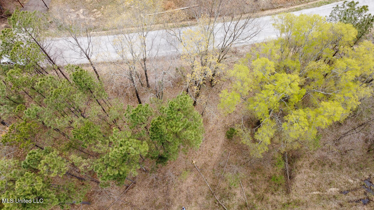 Wilkins Chapel Road, Holly Springs, Mississippi image 11