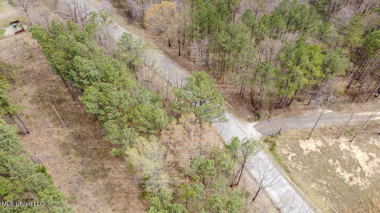 Wilkins Chapel Road, Holly Springs, Mississippi image 15