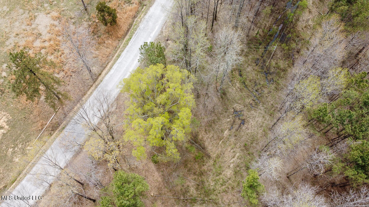 Wilkins Chapel Road, Holly Springs, Mississippi image 12