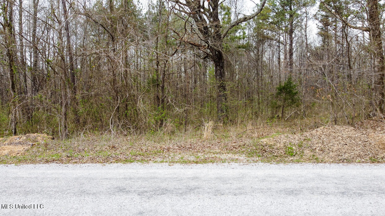Wilkins Chapel Road, Holly Springs, Mississippi image 4