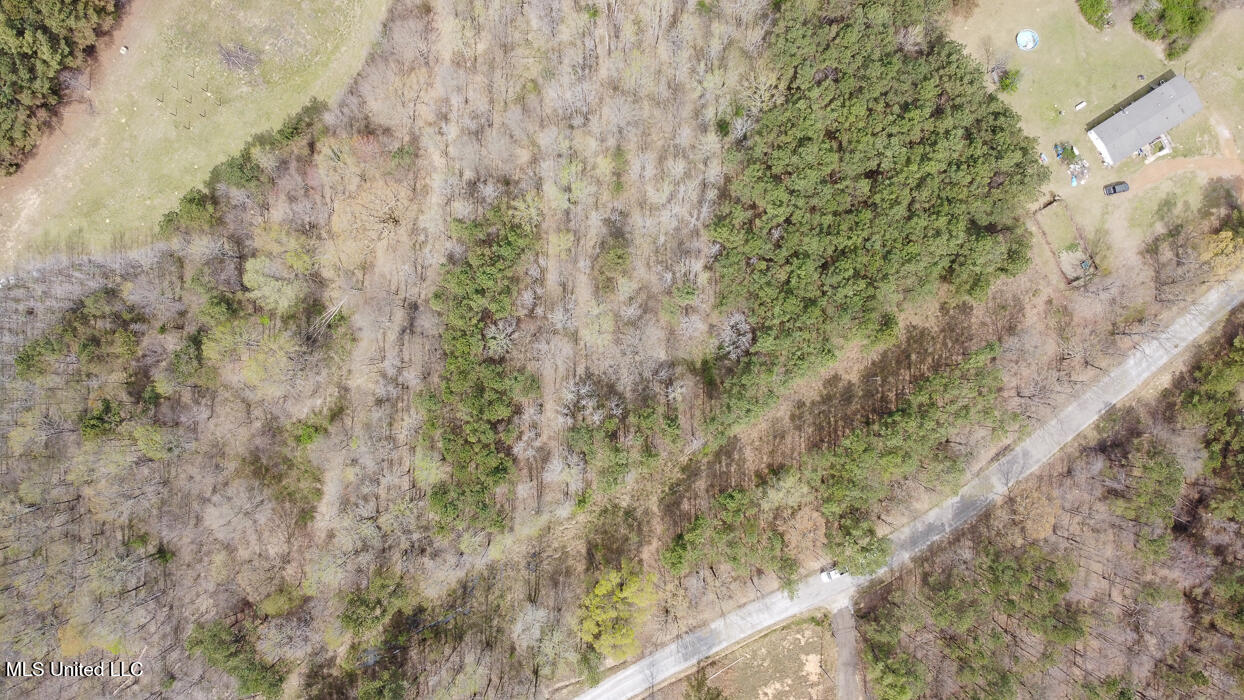 Wilkins Chapel Road, Holly Springs, Mississippi image 18