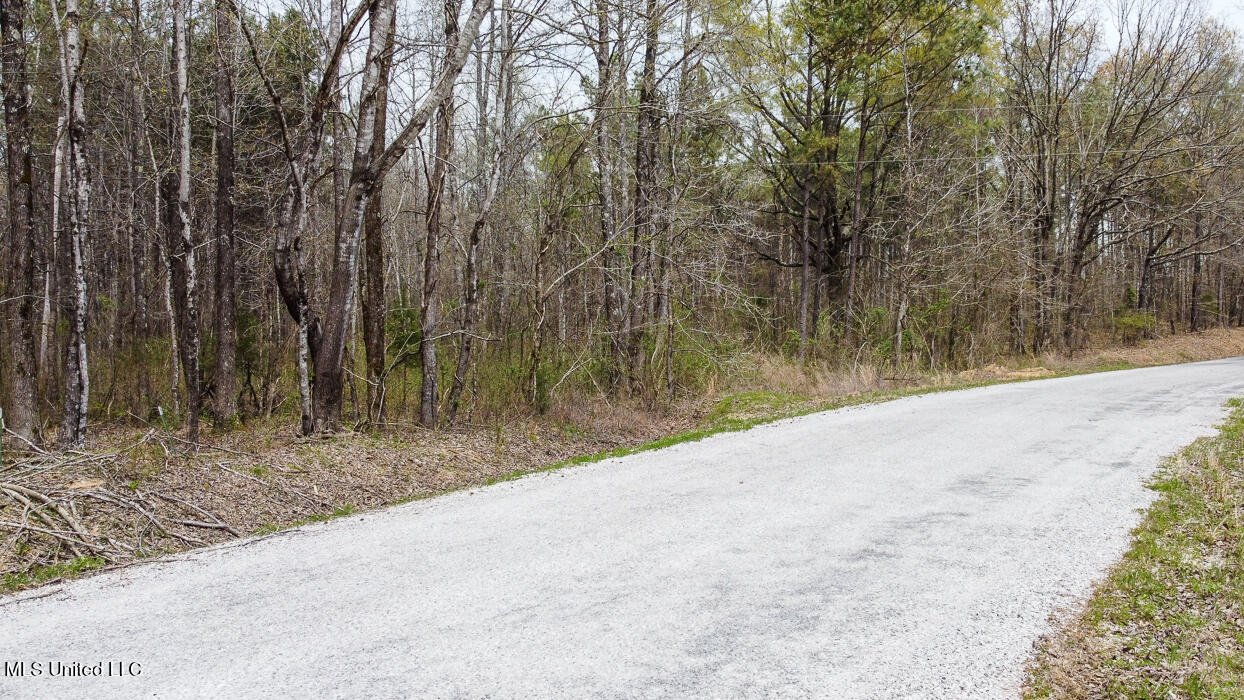 Wilkins Chapel Road, Holly Springs, Mississippi image 6