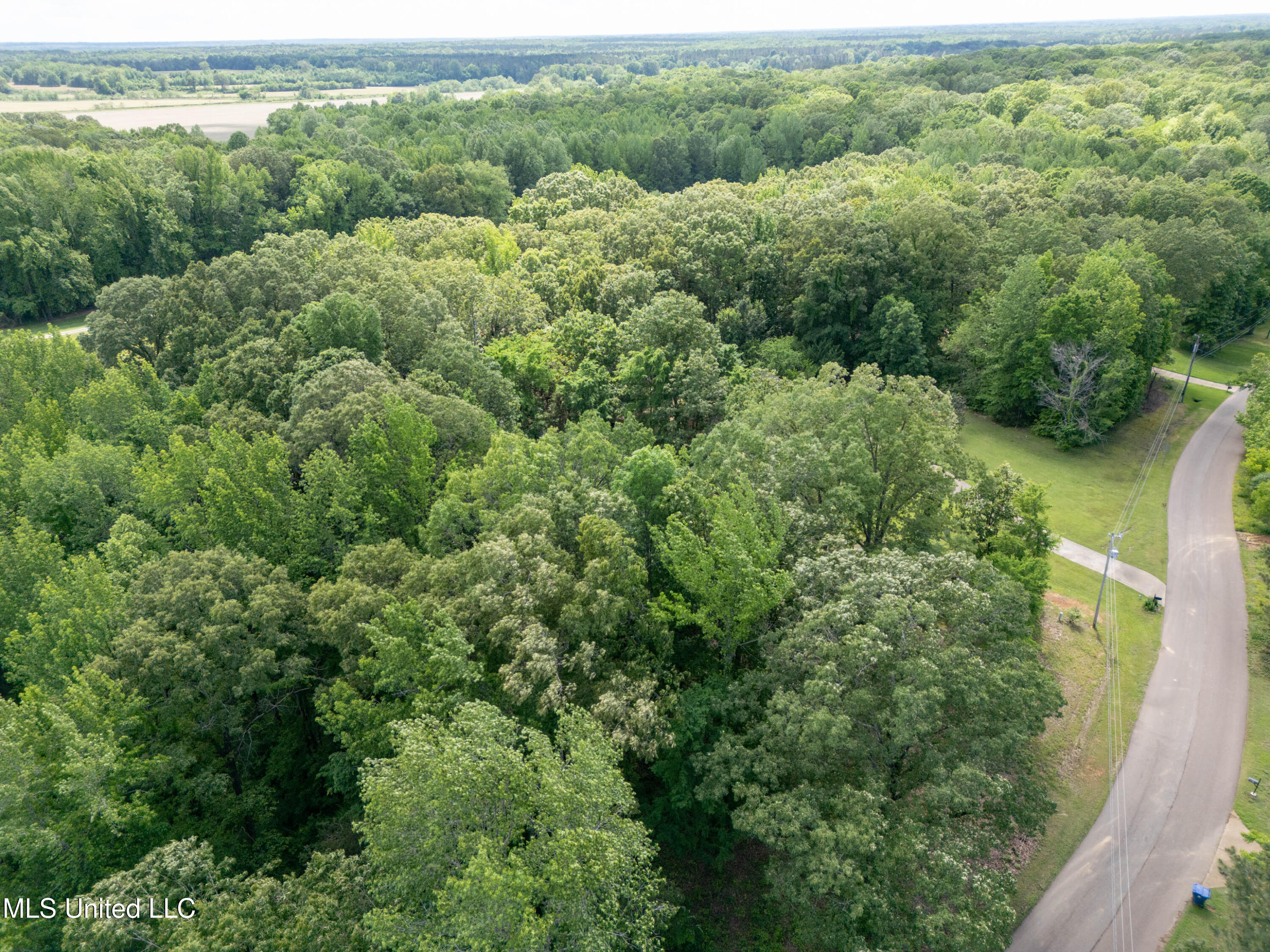 33 Timber Ridge Drive, Byhalia, Mississippi image 36