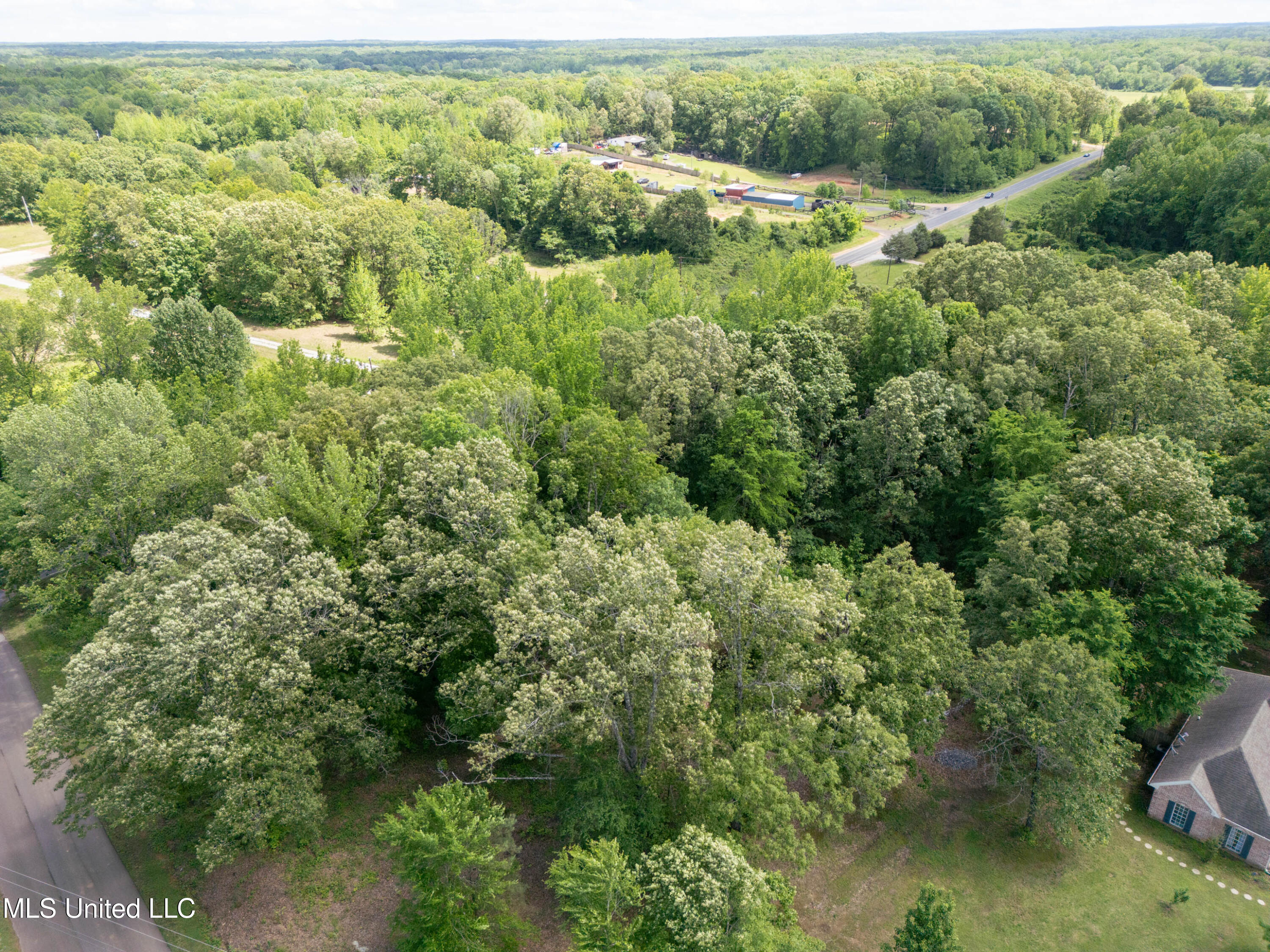 33 Timber Ridge Drive, Byhalia, Mississippi image 35