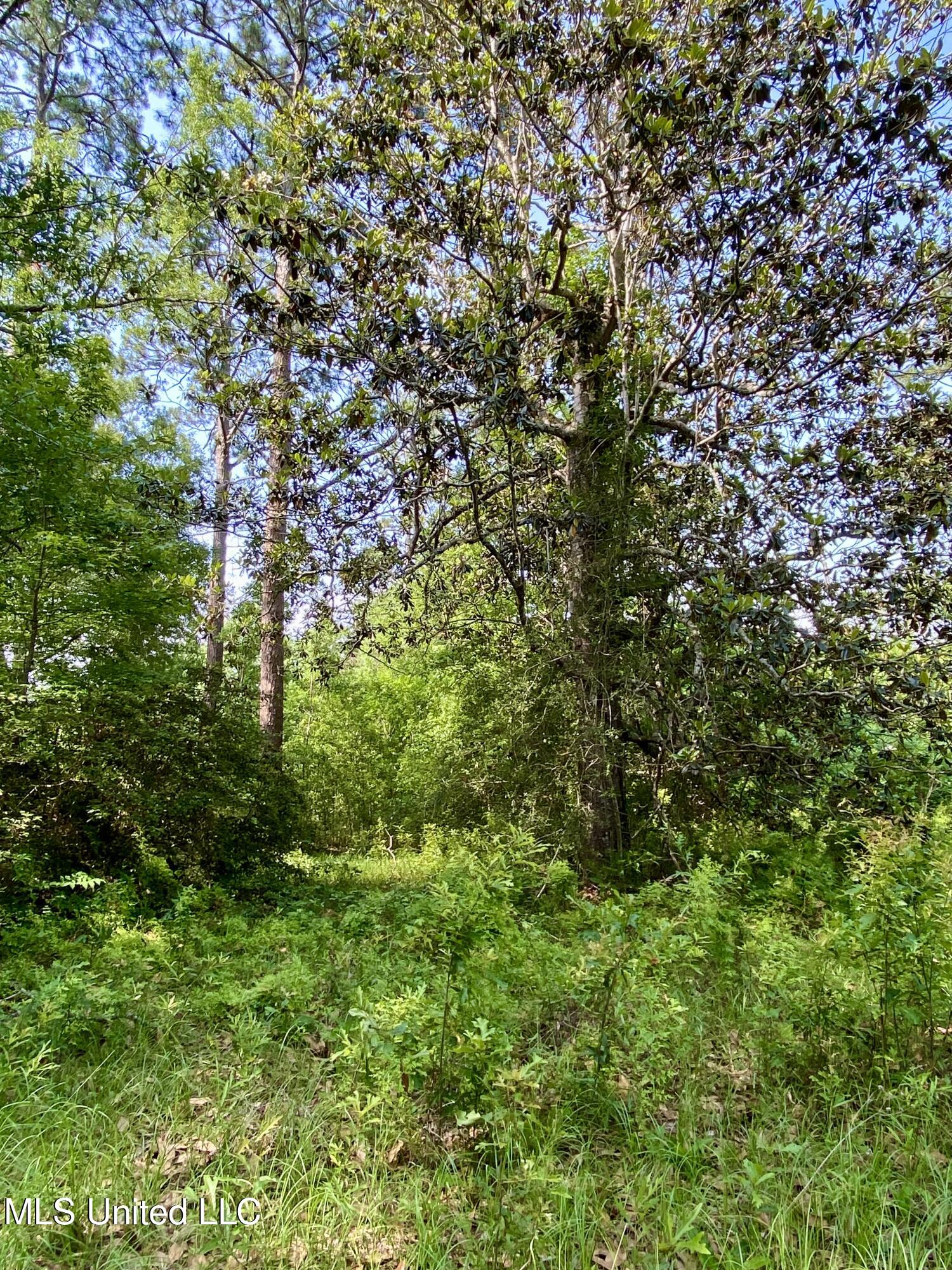 1396 Neal Road, Picayune, Mississippi image 2