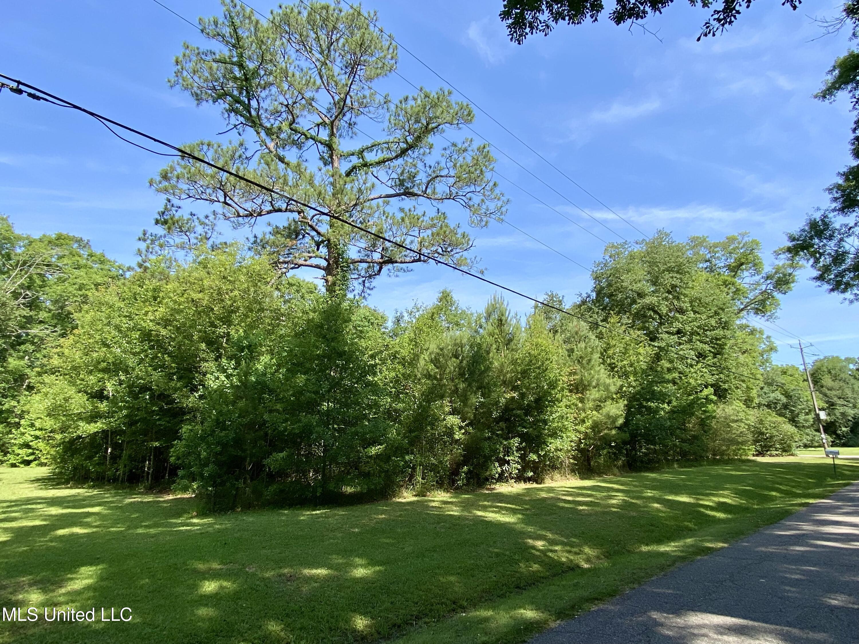 1396 Neal Road, Picayune, Mississippi image 1