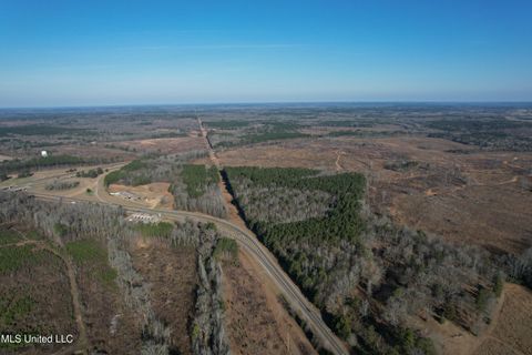 Vacant Land For Sale - Ms Highway 12<br/> Durant, MS 39063