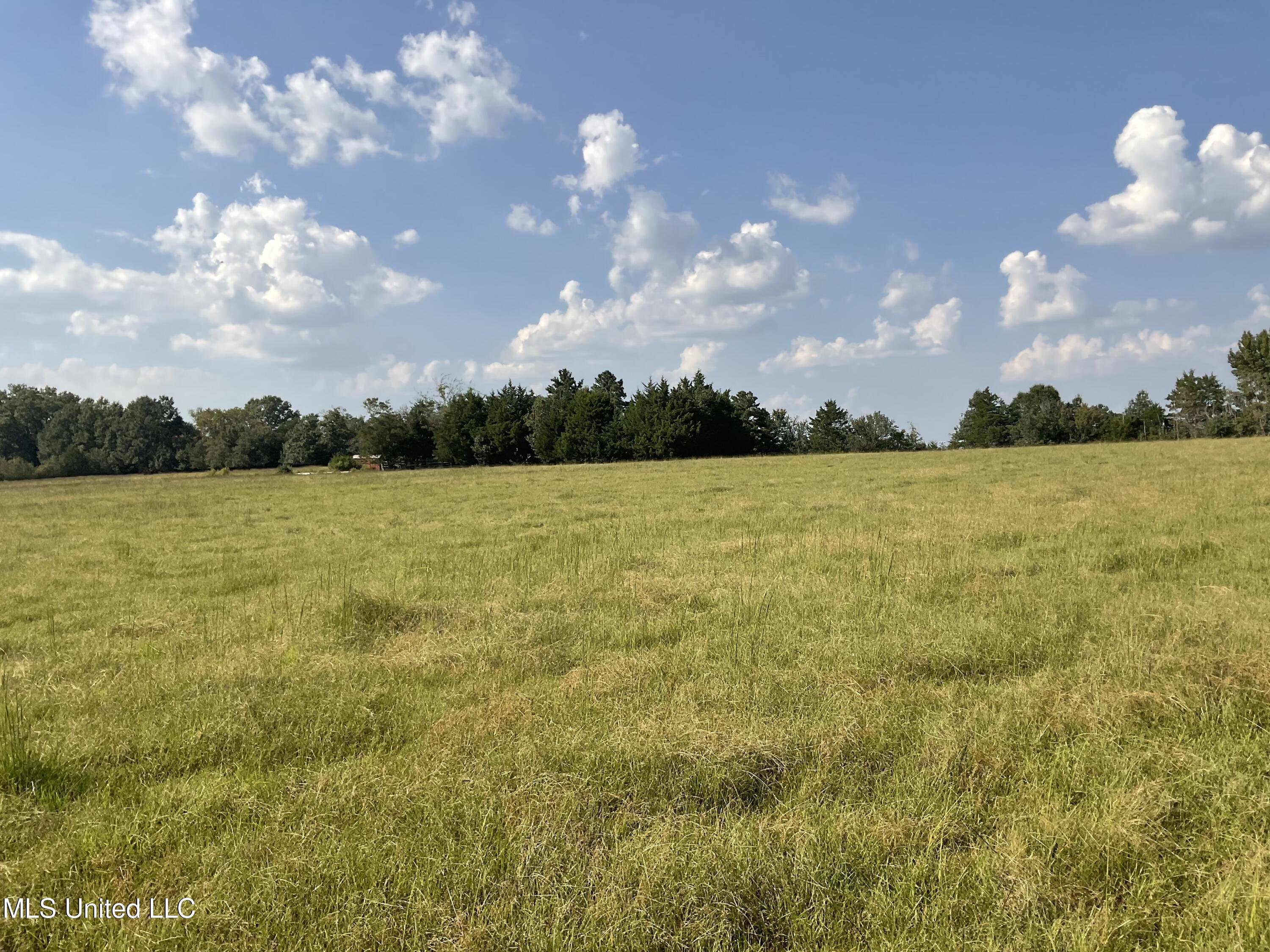 1102 Old Jackson Road, Canton, Mississippi image 10