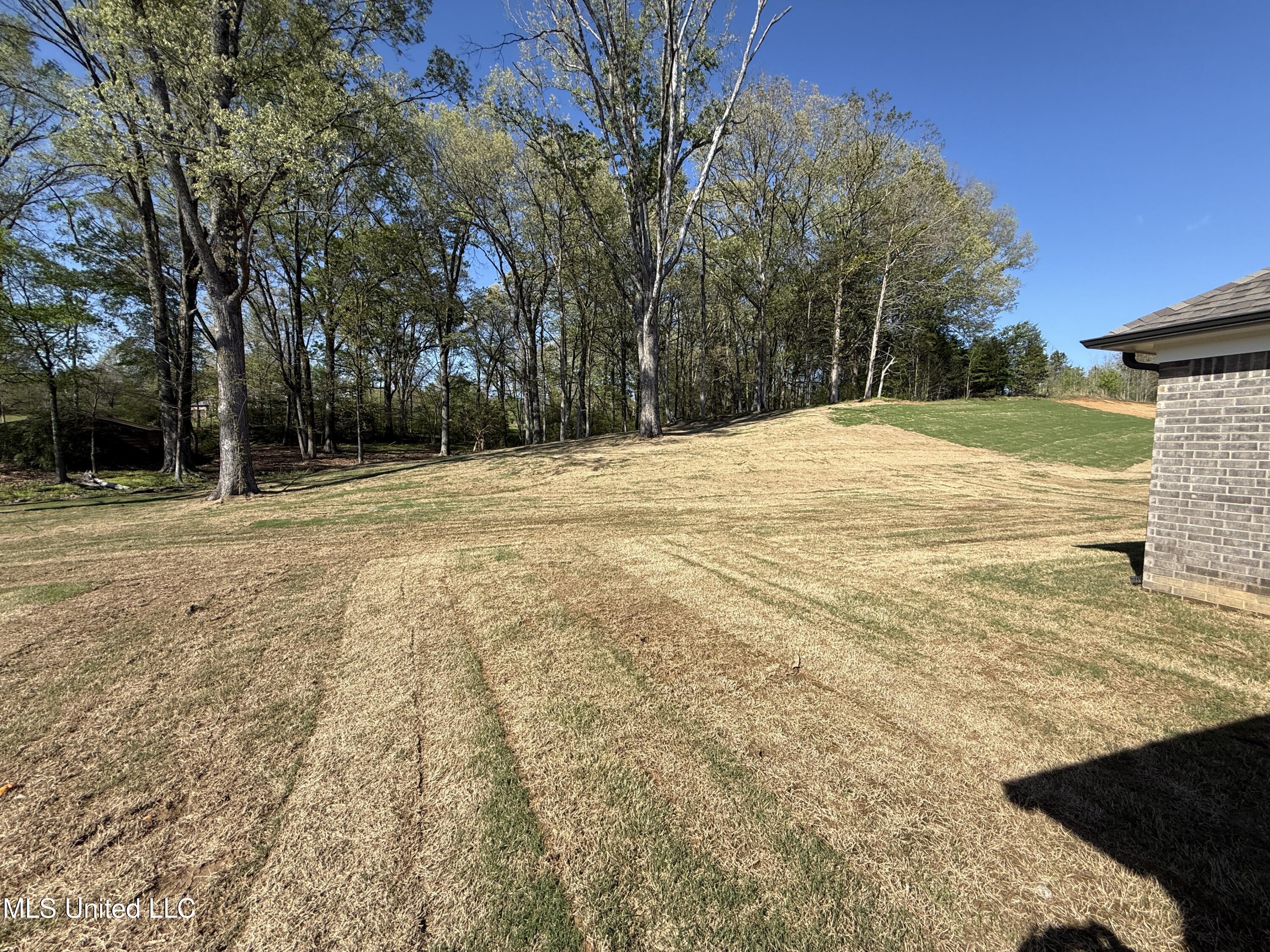 1184 Creekside Lane, Hernando, Mississippi image 36