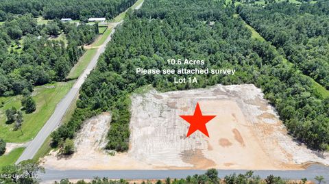 Vacant Land For Sale - 24155 Hwy 603<br/> Hancock County, Kiln, MS 39556