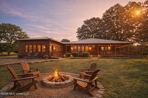 Homes For Sale - 3876 Bett-thyatira Road<br/> Coldwater, MS 38618