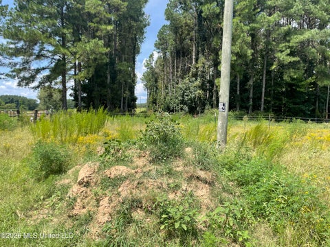 Vacant Land For Sale - Steward Road<br/> Senatobia, MS 38668