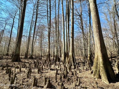 Vacant Land For Sale - 4 Evans Road<br/> Leake County, Carthage, MS 39051