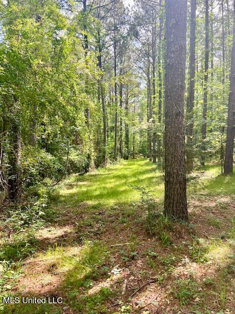 3862 SE Chicken Farm Road, Brookhaven, Mississippi image 16